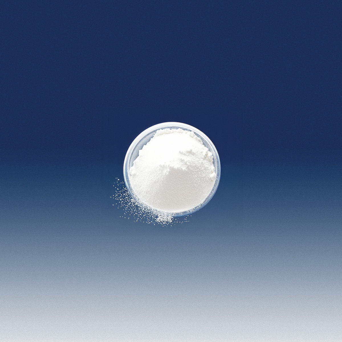 Acide Succinique