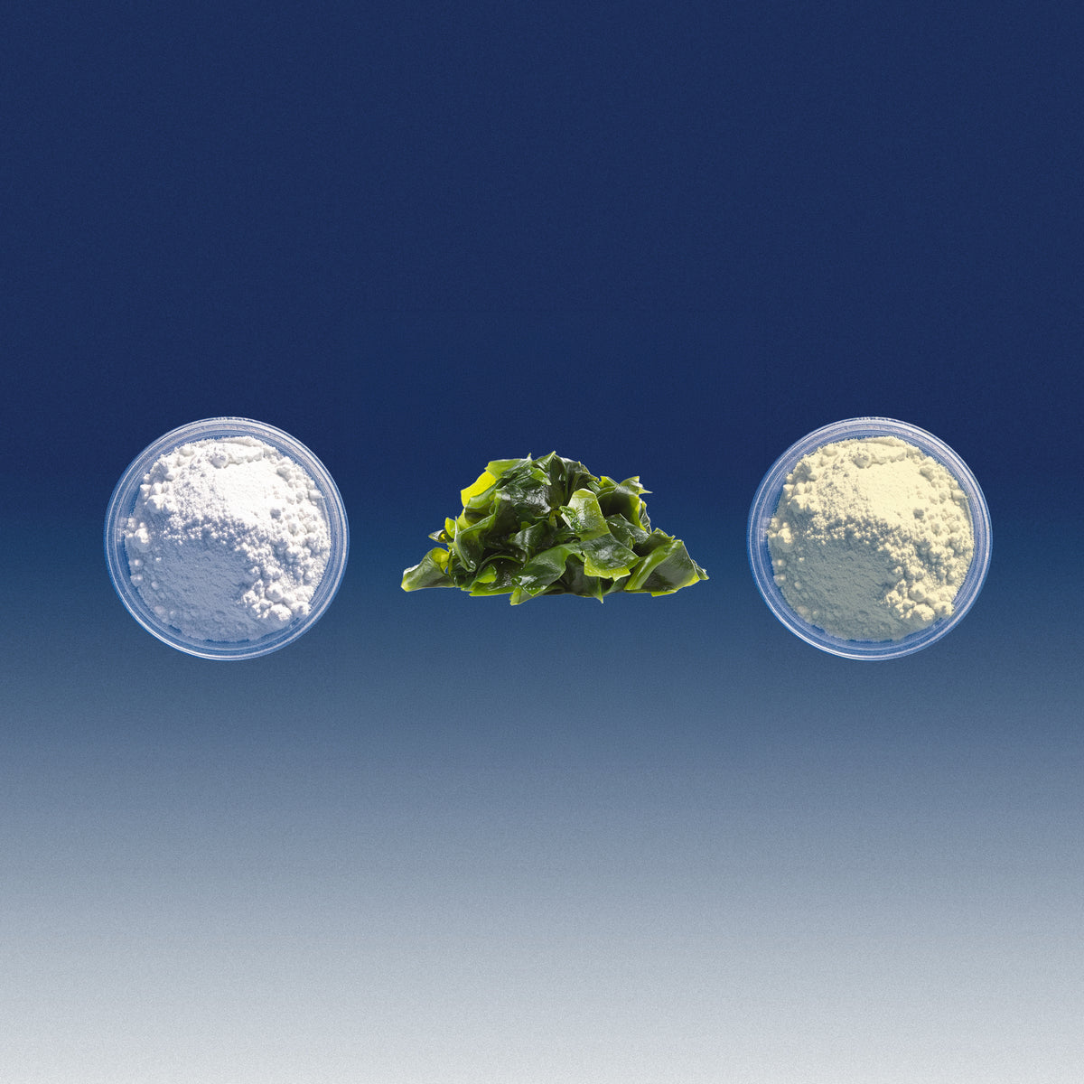 Complexe Zinc + Vitamine B6 + Algues